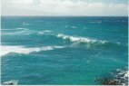 Windsurfing On Maui