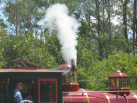 Train steam whistle being blown