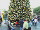 60 foot Christmas tree at the head of Main Street